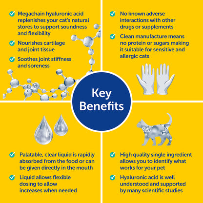 Zooomy Hyaluronic Acid Joint Support for Cats