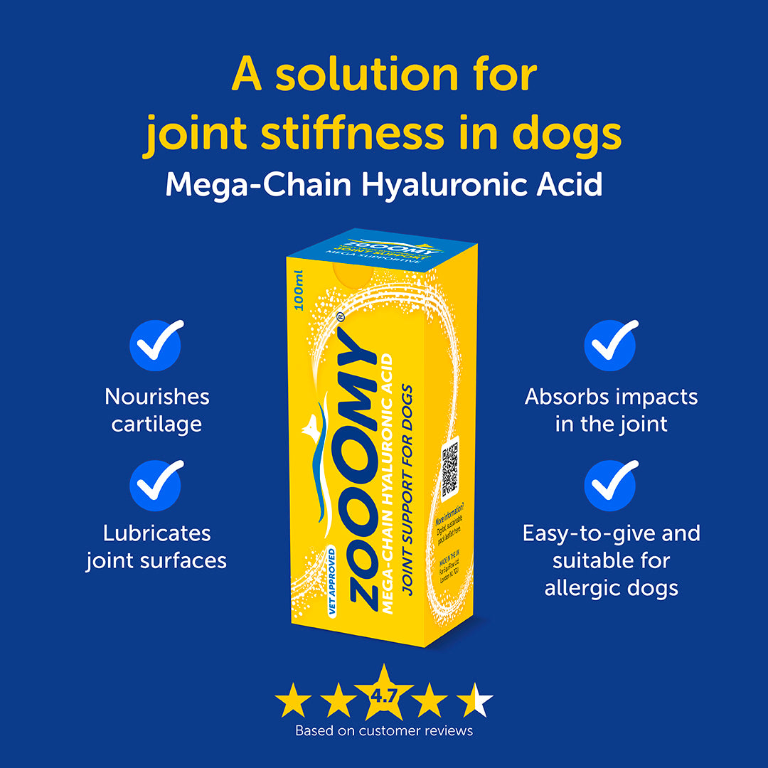Zooomy Hyaluronic Acid Joint Care for Dogs